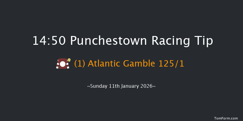Punchestown 14-50 16f Wed 31st Dec 2025