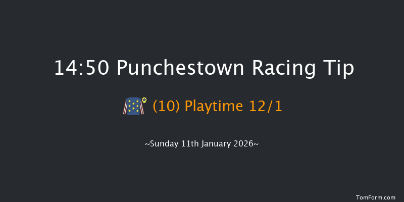 Punchestown 14-50 16f Wed 31st Dec 2025