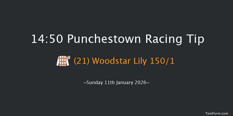 Punchestown 14-50 16f Wed 31st Dec 2025
