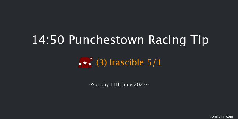 Punchestown 14:50 Handicap Chase 21f Sat 10th Jun 2023