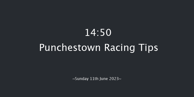Punchestown 14:50 Handicap Chase 21f Sat 10th Jun 2023