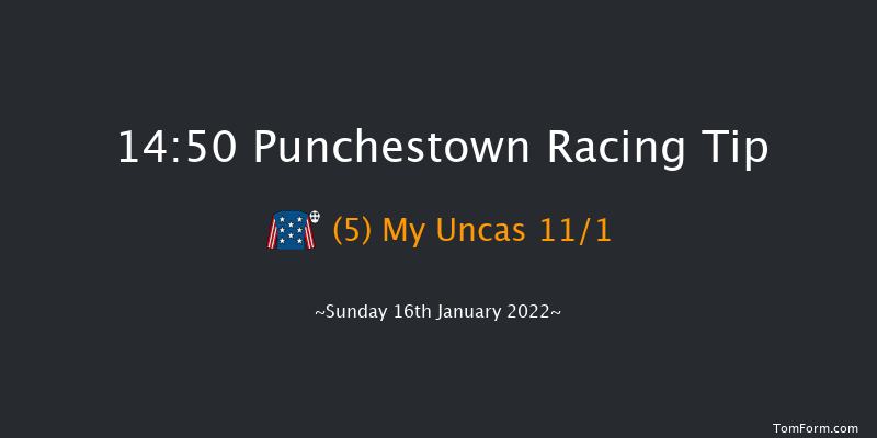 Punchestown 14:50 Maiden Chase 22f Fri 31st Dec 2021