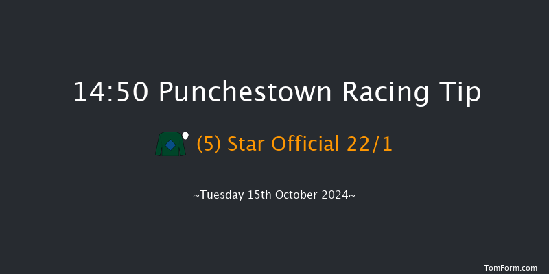 Punchestown  14:50 Handicap Hurdle 16f  Tue 17th Sep 2024
