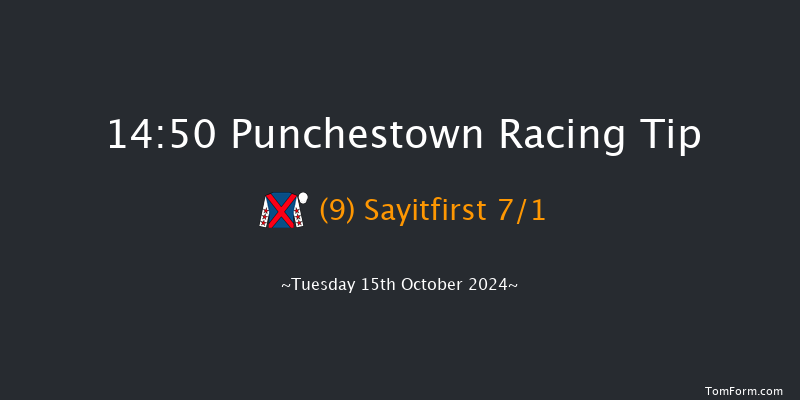 Punchestown  14:50 Handicap Hurdle 16f  Tue 17th Sep 2024