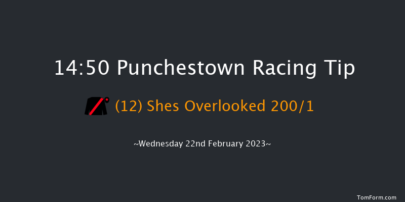 Punchestown 14:50 Maiden Hurdle 22f Sun 19th Feb 2023