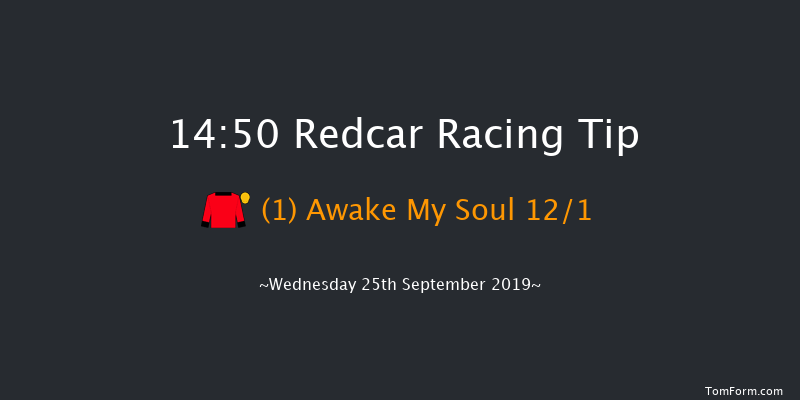 Redcar 14:50 Handicap (Class 4) 10f Tue 17th Sep 2019