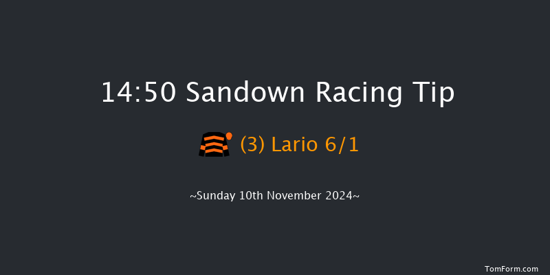 Sandown  14:50 Handicap Hurdle (Class 3) 16f  Wed 18th Sep 2024