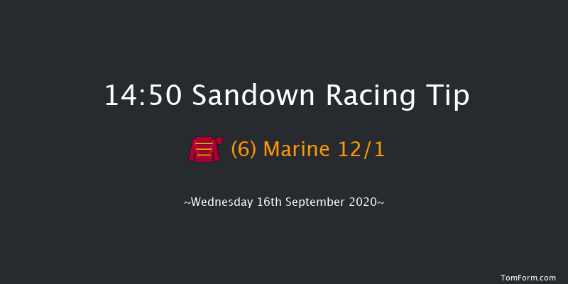 British Stallion Studs EBF Novice Stakes (Plus 10) Sandown 14:50 Stakes (Class 4) 8f Fri 11th Sep 2020