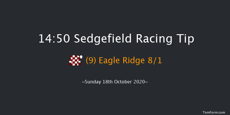 Paxtons For JCB Agriculture Conditional Jockeys' Handicap Chase Sedgefield 14:50 Handicap Chase (Class 5) 21f Wed 7th Oct 2020