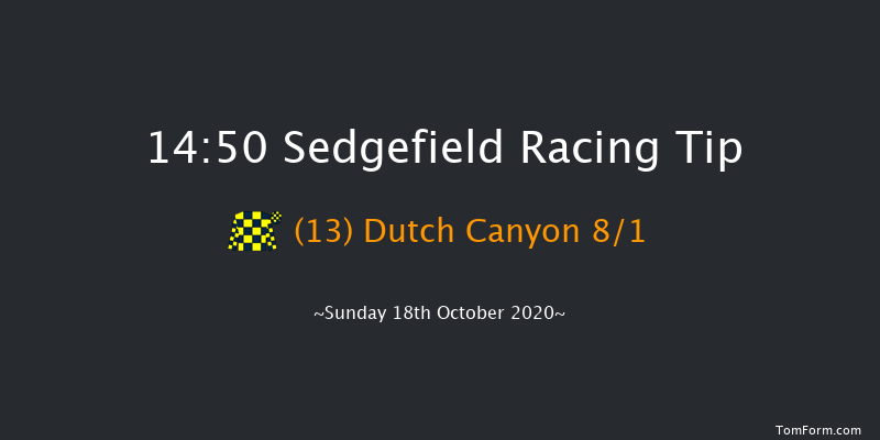 Paxtons For JCB Agriculture Conditional Jockeys' Handicap Chase Sedgefield 14:50 Handicap Chase (Class 5) 21f Wed 7th Oct 2020