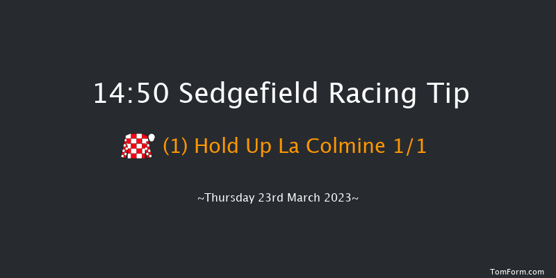 Sedgefield 14:50 Handicap Hurdle (Class 4) 20f Thu 23rd Feb 2023