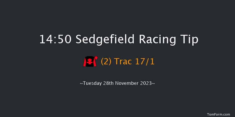 Sedgefield 14:50 Handicap Chase (Class 5) 19f Thu 16th Nov 2023