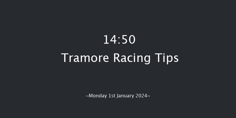 Tramore 14:50 Maiden Chase 16f Tue 28th Nov 2023