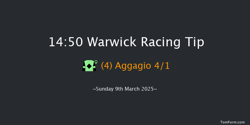 Warwick  14:50 Handicap Hurdle (Class 4) 16f Fri 21st Feb 2025