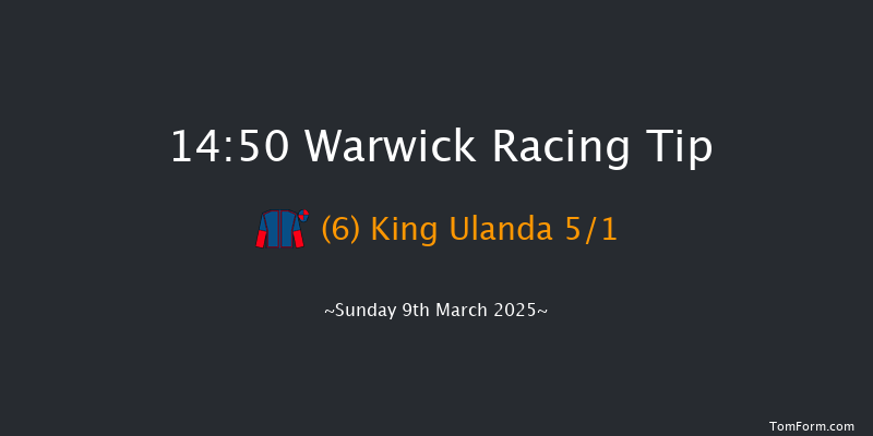 Warwick  14:50 Handicap Hurdle (Class 4) 16f Fri 21st Feb 2025
