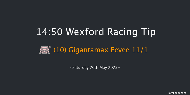 Wexford 14:50 Handicap Hurdle 17f Fri 31st Mar 2023