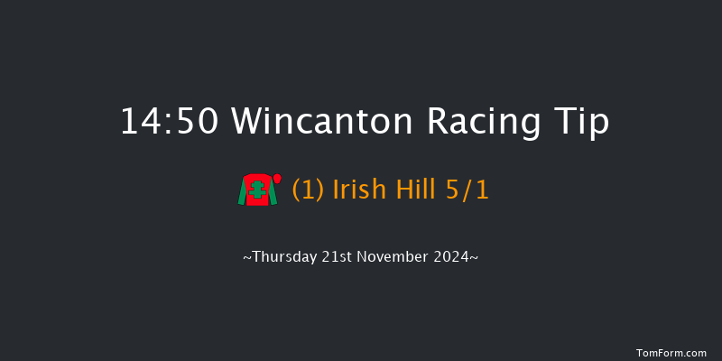 Wincanton  14:50 Handicap Hurdle (Class 3) 20f Sat 9th Nov 2024