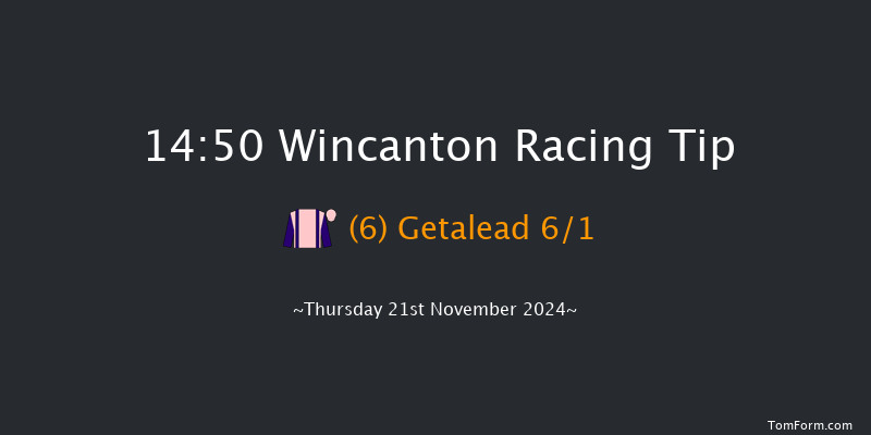 Wincanton  14:50 Handicap Hurdle (Class 3) 20f Sat 9th Nov 2024