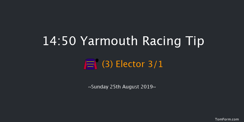 Yarmouth 14:50 Handicap (Class 2) 10f Tue 20th Aug 2019