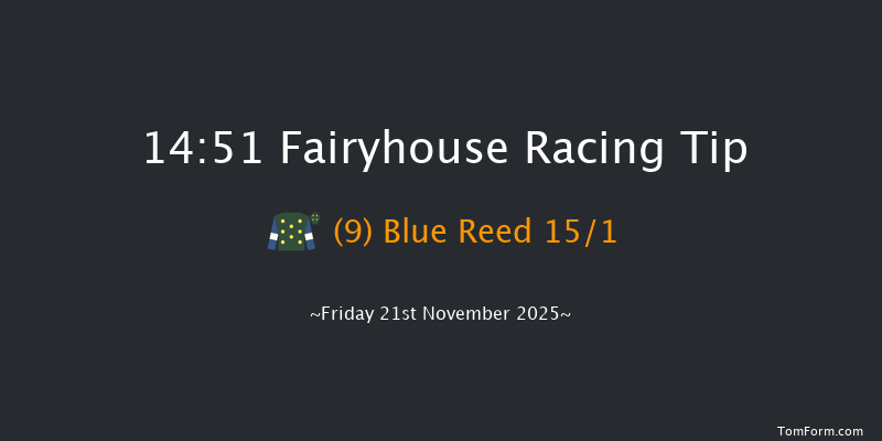 Fairyhouse 14-51 20f Tue 11th Nov 2025