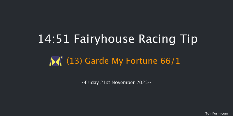 Fairyhouse 14-51 20f Tue 11th Nov 2025