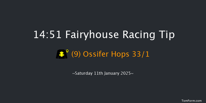 Fairyhouse  14:51 Maiden Chase 22f Wed 1st Jan 2025