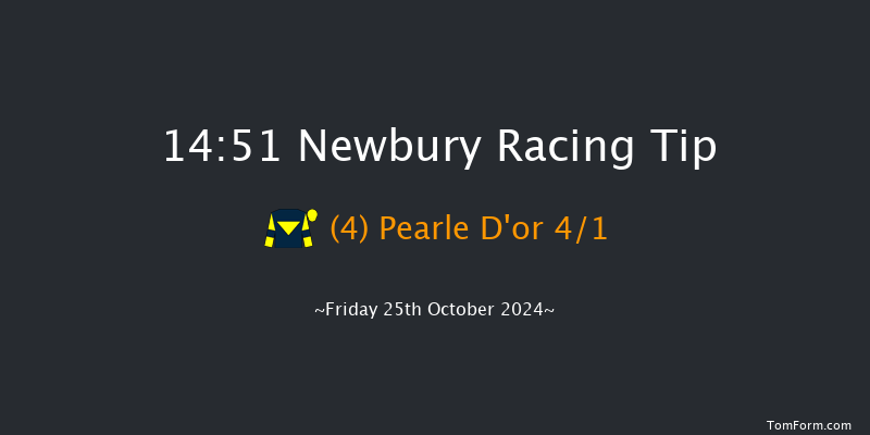 Newbury  14:51 Handicap (Class 3) 7f  Sat 21st Sep 2024