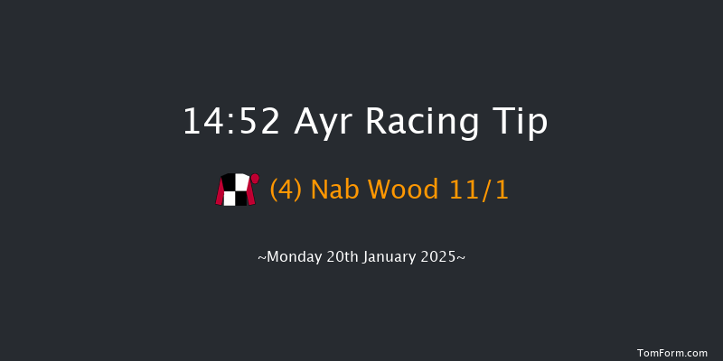 Ayr  14:52 Handicap Hurdle (Class 3) 20f Mon 6th Jan 2025