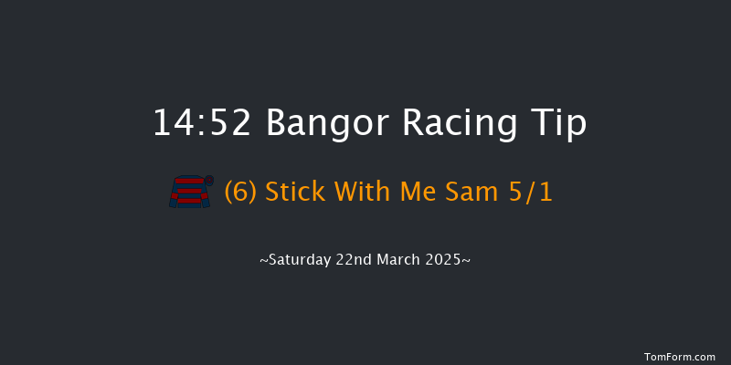 Bangor-on-dee  14:52 Handicap Chase (Class 4) 17f Wed 26th Feb 2025