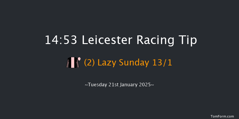 Leicester  14:53 Handicap Chase (Class 5) 23f Sat 28th Dec 2024