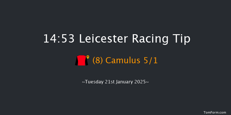 Leicester  14:53 Handicap Chase (Class 5) 23f Sat 28th Dec 2024