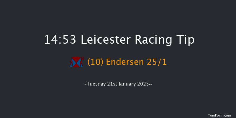 Leicester  14:53 Handicap Chase (Class 5) 23f Sat 28th Dec 2024