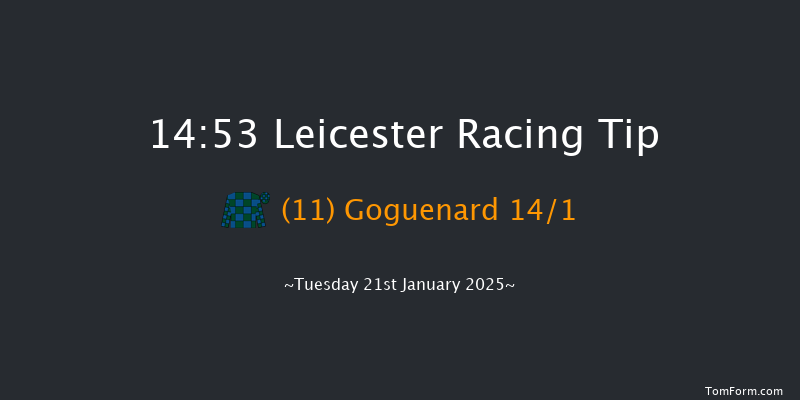 Leicester  14:53 Handicap Chase (Class 5) 23f Sat 28th Dec 2024