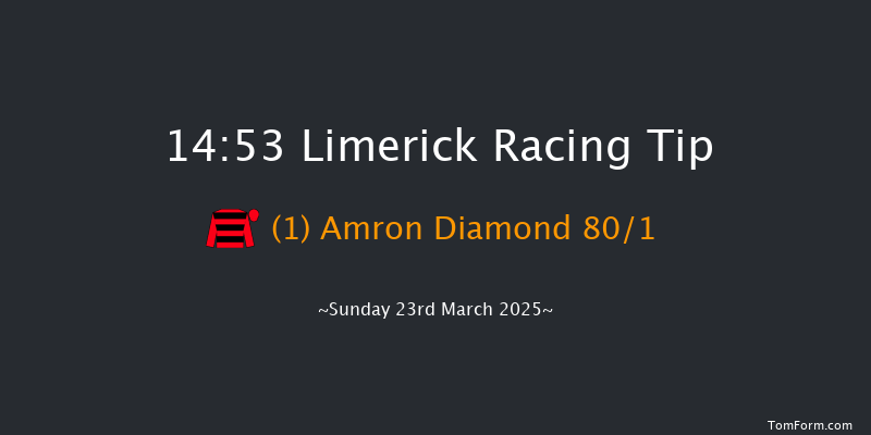 Limerick  14:53 Maiden Hurdle 19f Thu 13th Mar 2025
