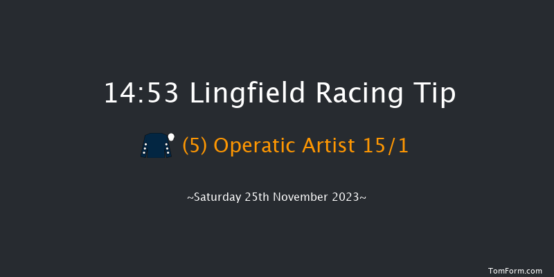 Lingfield 14:53 Handicap (Class 5) 10f Tue 21st Nov 2023