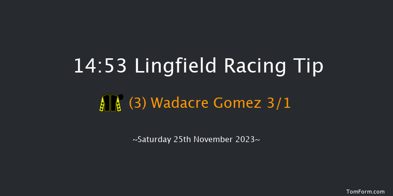 Lingfield 14:53 Handicap (Class 5) 10f Tue 21st Nov 2023
