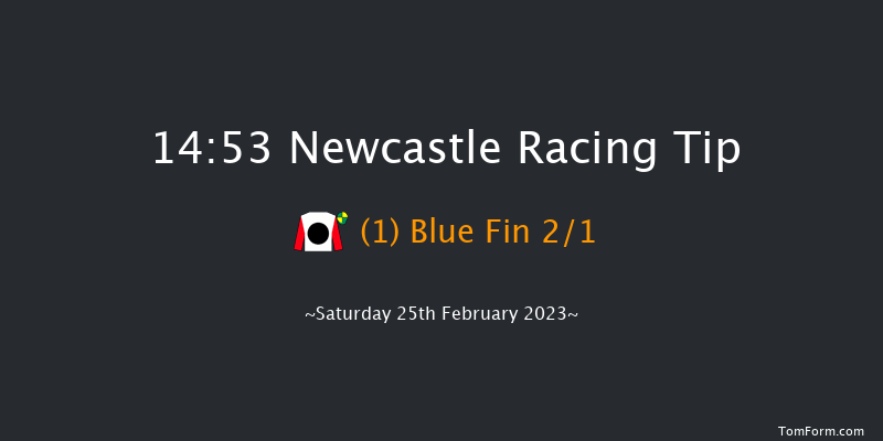 Newcastle 14:53 Maiden Hurdle (Class 4) 17f Thu 23rd Feb 2023