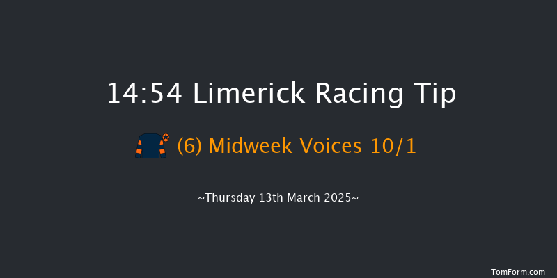 Limerick  14:54 Handicap Chase 18f Tue 28th Jan 2025