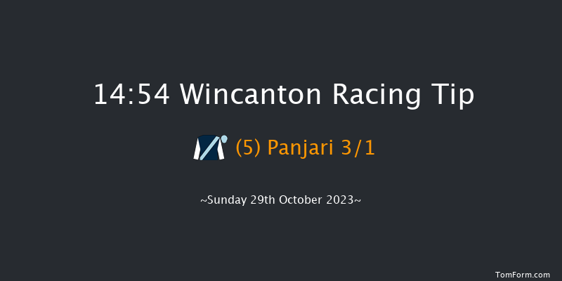 Wincanton 14:54 Maiden Hurdle (Class 4) 15f Thu 19th Oct 2023