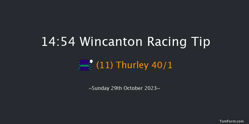 Wincanton 14:54 Maiden Hurdle (Class 4) 15f Thu 19th Oct 2023