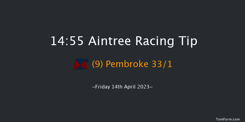 Aintree 14:55 Novices Hurdle (Class 1) 16f Thu 13th Apr 2023