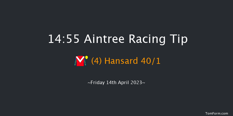 Aintree 14:55 Novices Hurdle (Class 1) 16f Thu 13th Apr 2023