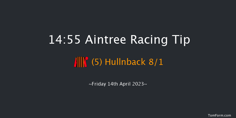 Aintree 14:55 Novices Hurdle (Class 1) 16f Thu 13th Apr 2023