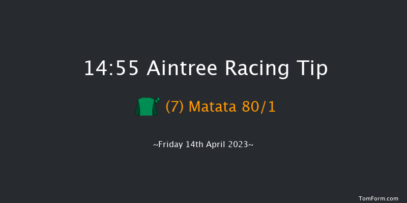 Aintree 14:55 Novices Hurdle (Class 1) 16f Thu 13th Apr 2023