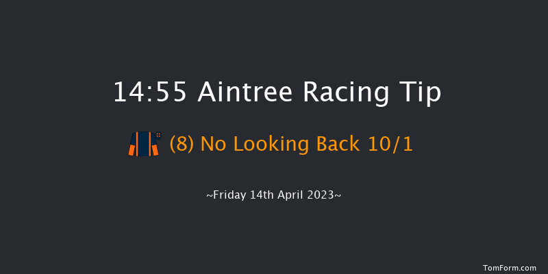 Aintree 14:55 Novices Hurdle (Class 1) 16f Thu 13th Apr 2023