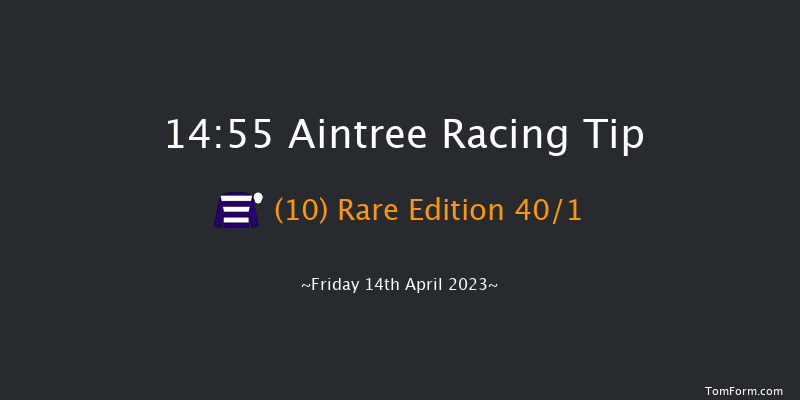 Aintree 14:55 Novices Hurdle (Class 1) 16f Thu 13th Apr 2023
