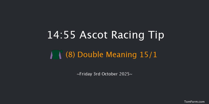 Ascot 14-55 (Class 3) 15f Sat 6th Sep 2025