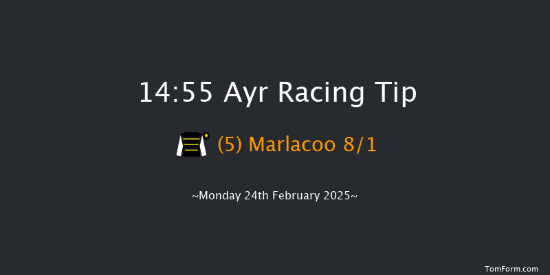 Ayr  14:55 Maiden Hurdle (Class 4) 20f Tue 11th Feb 2025