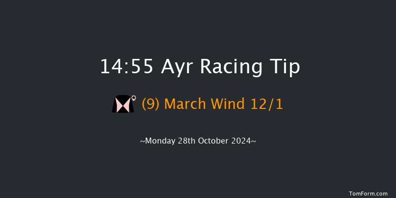 Ayr  14:55 Handicap Hurdle (Class 5) 20f Thu 10th Oct 2024