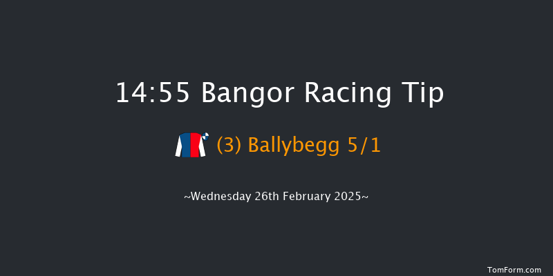 Bangor-on-dee  14:55 Handicap Chase (Class 4) 20f Fri 7th Feb 2025